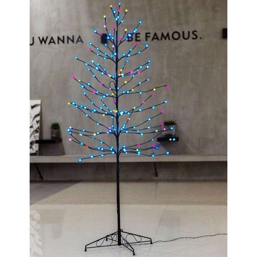 Bolylight // Ball Tree 6ft 184L