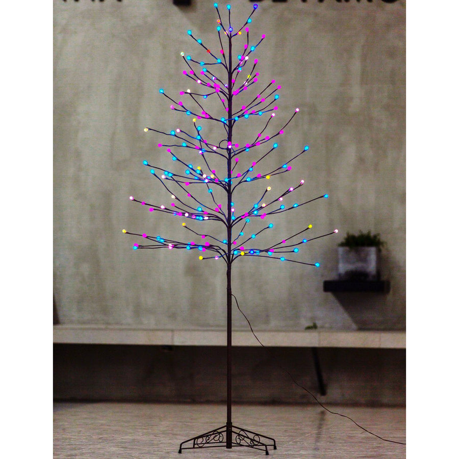 Bolylight // Ball Tree 6ft 184L