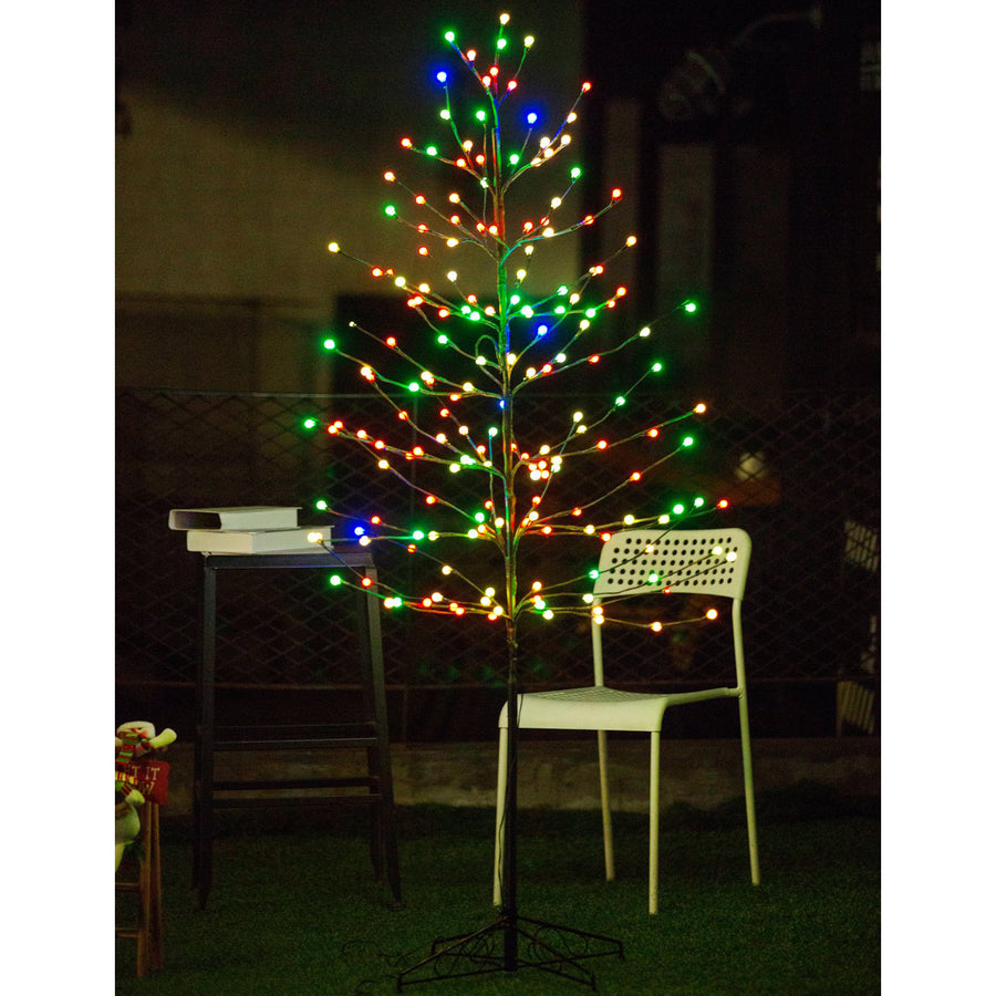 Bolylight // Ball Tree 6ft 184L