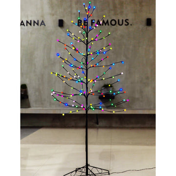 Bolylight // Ball Tree 6ft 184L