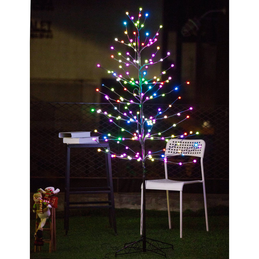 Bolylight // Ball Tree 6ft 184L