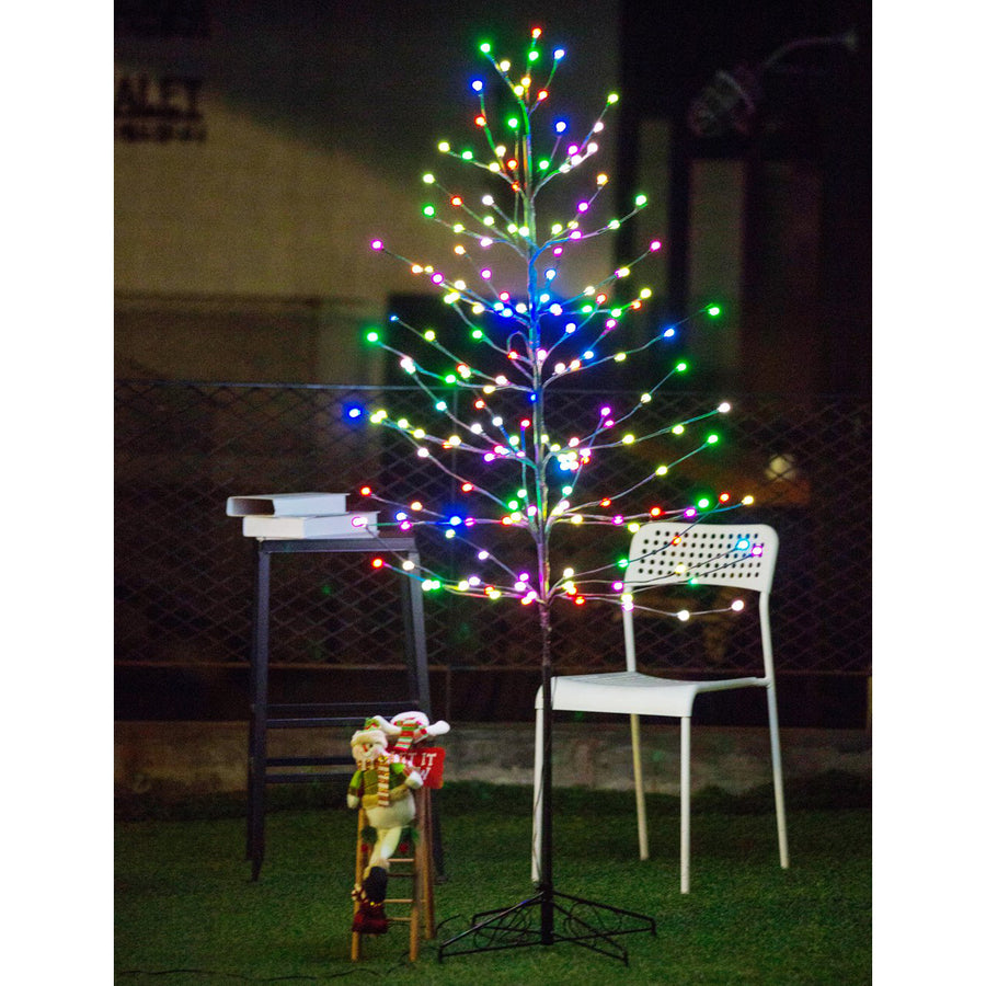 Bolylight // Ball Tree 6ft 184L