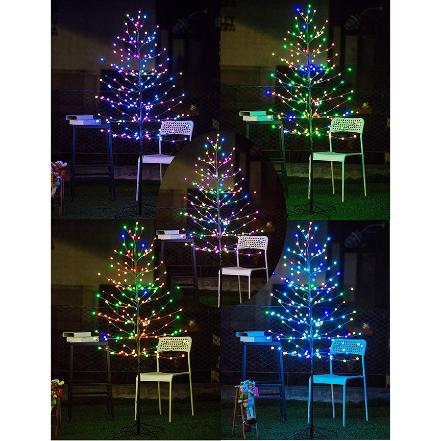 Bolylight // Ball Tree 6ft 184L