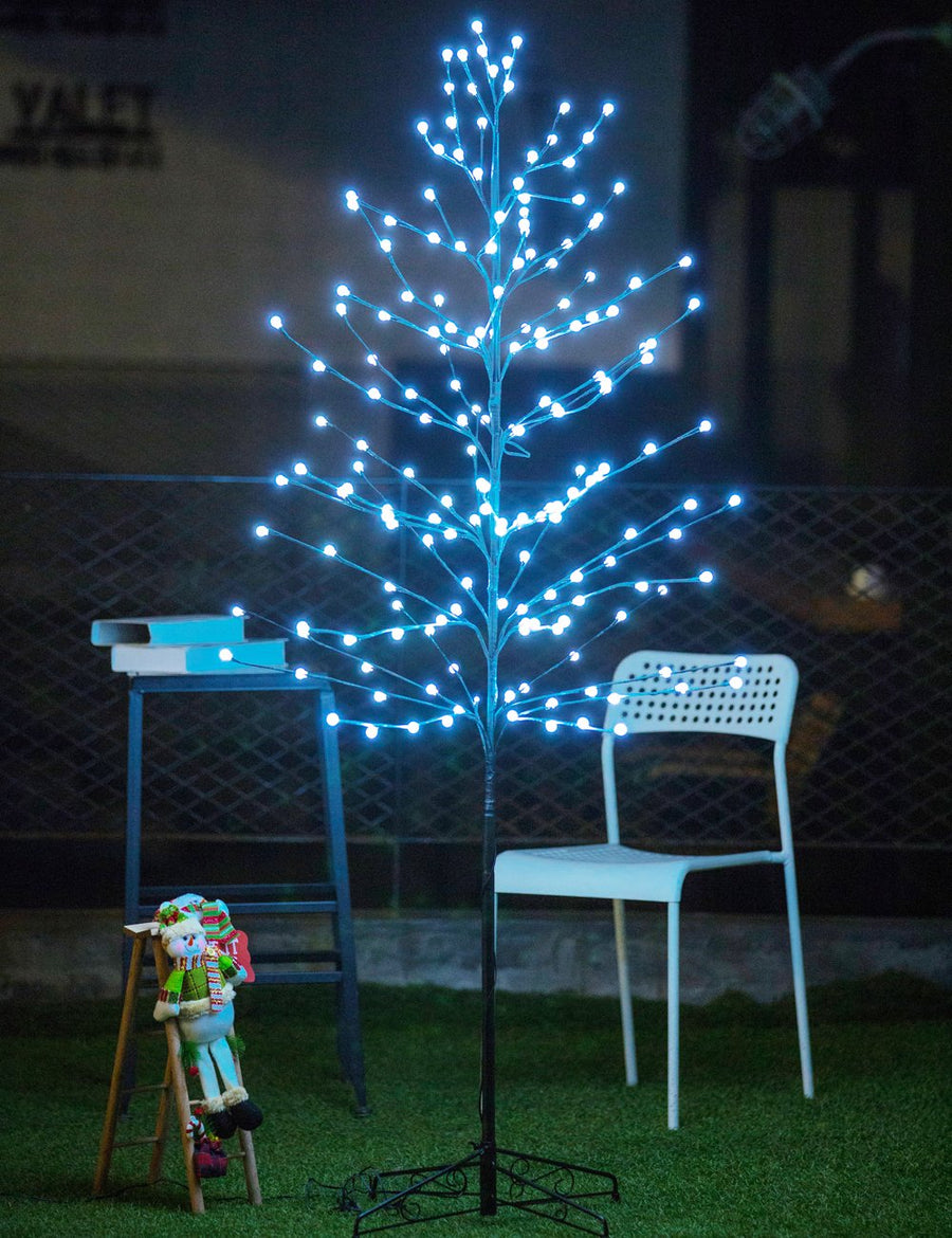 Bolylight // Ball Tree 6ft 184L